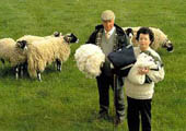 Kenneth & Kathleen with some of their sheep Kenneth & Kathleen with some of their sheep